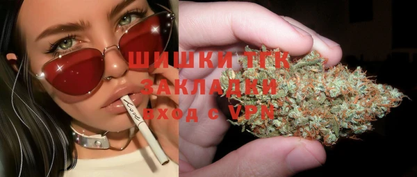 крисы Абаза