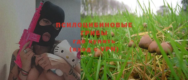 крисы Абаза
