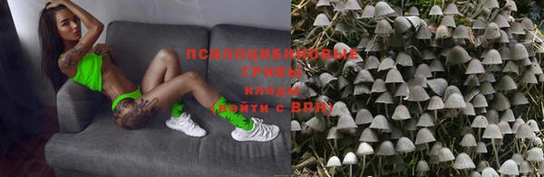 мяу мяу мука Абдулино