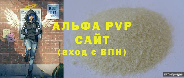 крисы Абаза