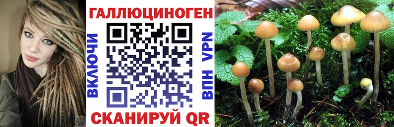 где можно купить   kraken ссылки  Псилоцибиновые грибы GOLDEN TEACHER  Ува 